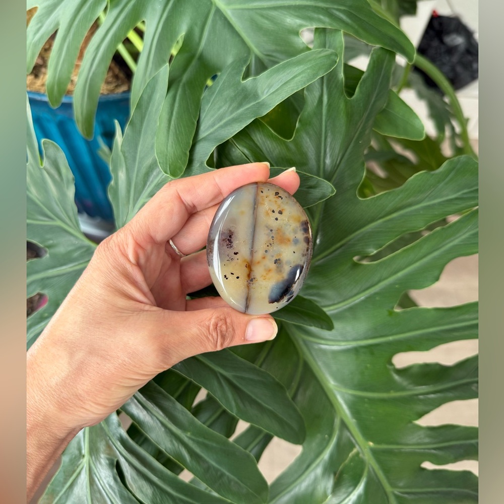 Dendritic Agate Palmstone - Picture 2 of 4